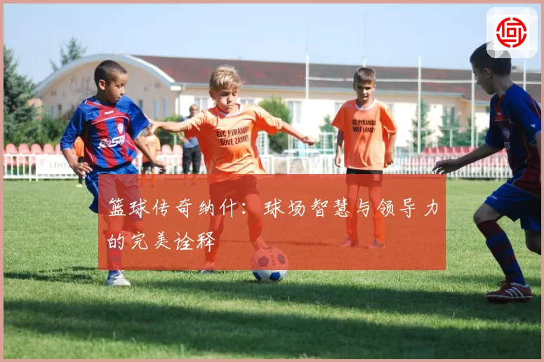 篮球传奇纳什：球场智慧与领导力的完美诠释