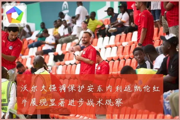 沃尔夫强调保护安东内利迈凯伦红牛展现显著进步战术观察