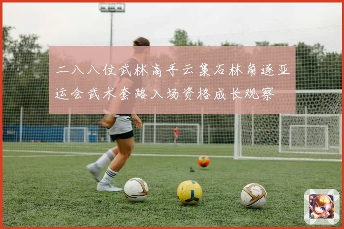 二八八位武林高手云集石林角逐亚运会武术套路入场资格成长观察