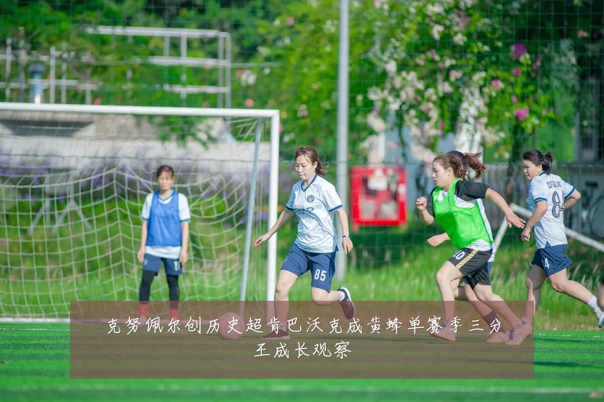 克努佩尔创历史超肯巴沃克成黄蜂单赛季三分王成长观察