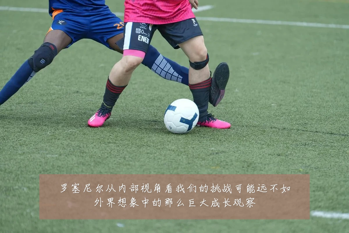 罗塞尼尔从内部视角看我们的挑战可能远不如外界想象中的那么巨大成长观察