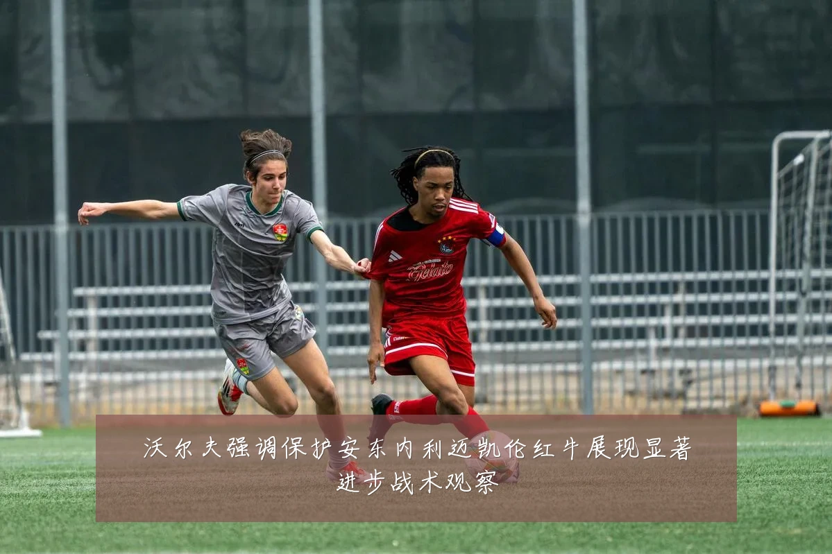 沃尔夫强调保护安东内利迈凯伦红牛展现显著进步战术观察