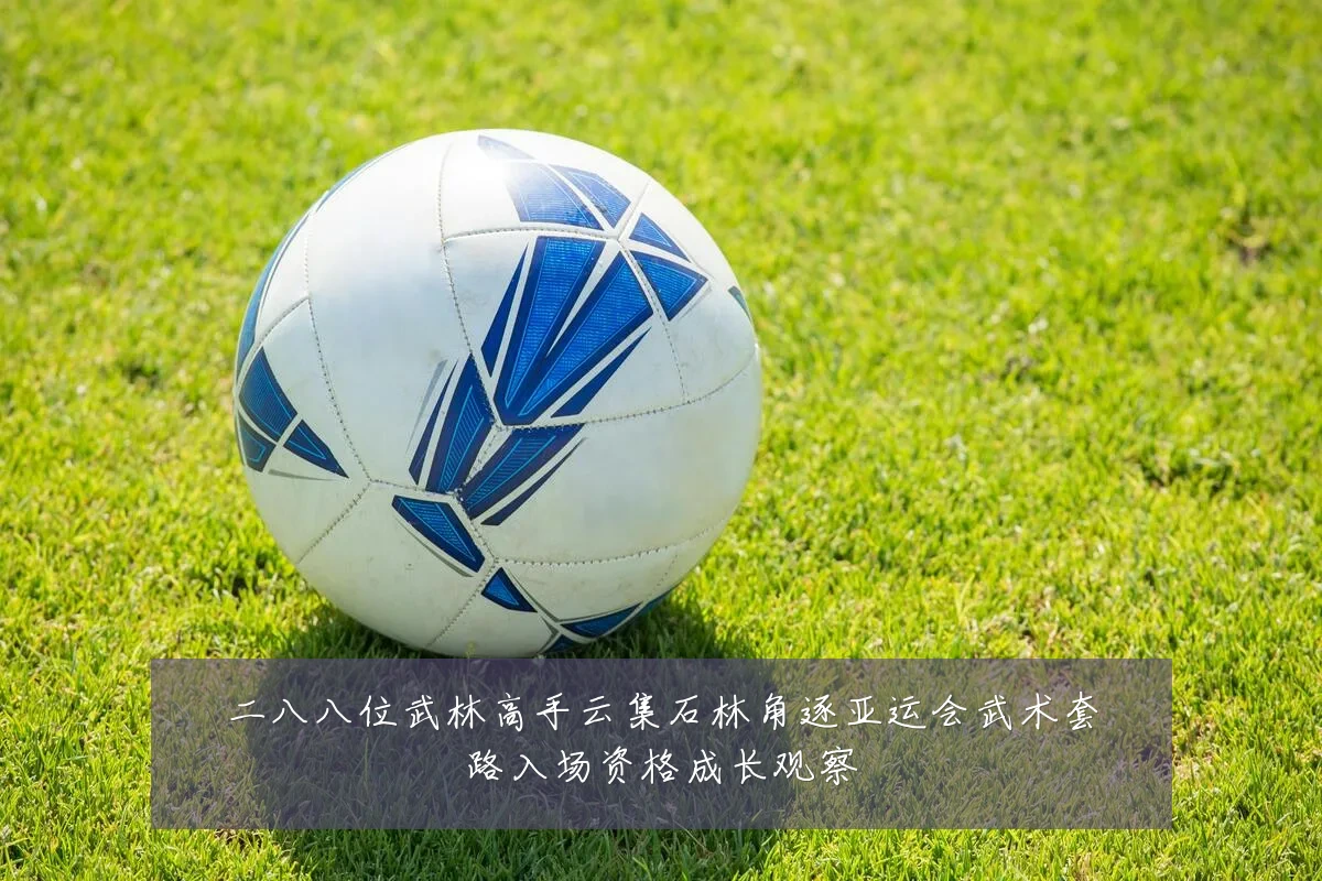二八八位武林高手云集石林角逐亚运会武术套路入场资格成长观察