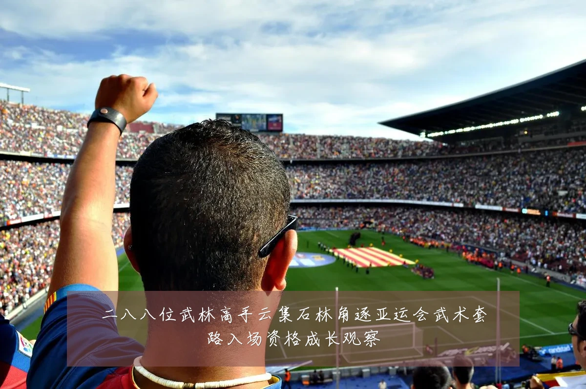 二八八位武林高手云集石林角逐亚运会武术套路入场资格成长观察